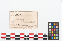 Etikett zu Bronzearmreif (NHMW-PRAE-026621)